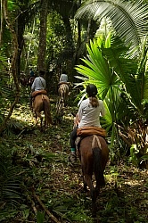 On the Trails with MET