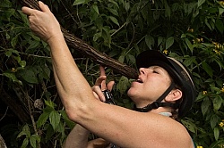 On the Trails with MET