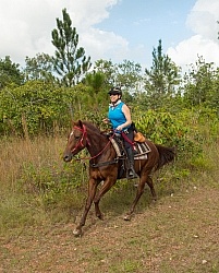 On the Trails with MET