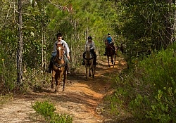 On the Trails with MET