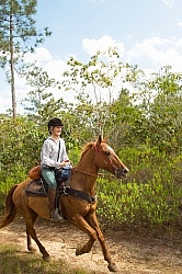 On the Trails with MET