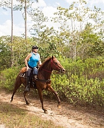 On the Trails with MET
