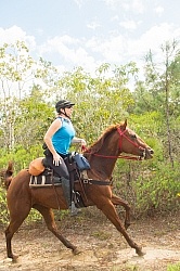 On the Trails with MET