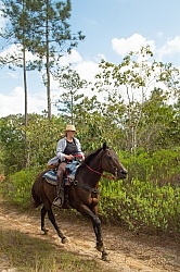 On the Trails with MET