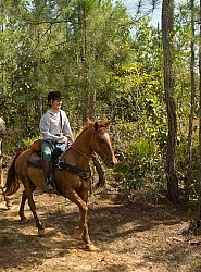 On the Trails with MET