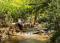 On the Trails with MET