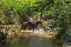 On the Trails with MET