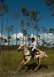 On the Trails with MET