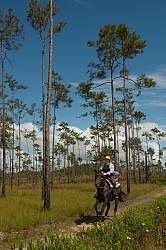 On the Trails with MET