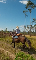 On the Trails with MET