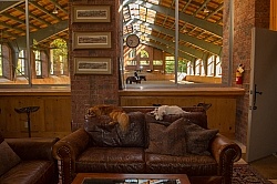 Deer Ridge Office Barn Dogs