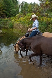 Ponying in the Ganaraska Forest