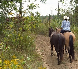 Ponying in the Ganaraska Forest