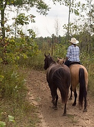 Ponying in the Ganaraska Forest