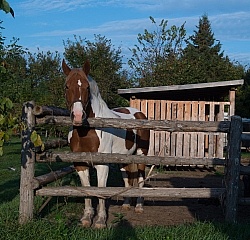 Corral at Horse Country Campground