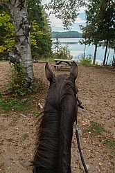 Voyageur Bay Horse Country Campground