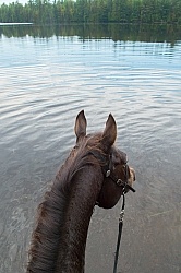 Voyageur Bay Horse Country Campground