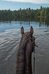 Voyageur Bay Horse Country Campground