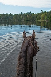 Voyageur Bay Horse Country Campground