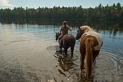 Voyageur Bay Horse Country Campground