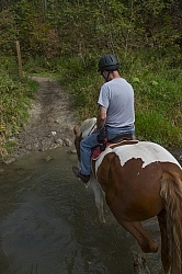 Major crossing the River  at Horse Country Campground