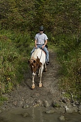 Major  Crossing the river at Horse Country Campground