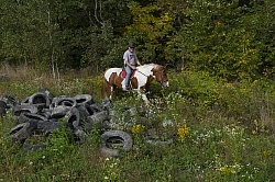 Joe and Major Checking out the Pile of Tires at Horse Country Ca