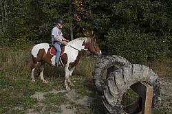 Joe and Major Checking out the Hanging  Tires at Horse Country C