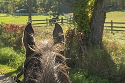 Shawn and Bailey Boy in the Water at Voytageur Bay at Horse Coun