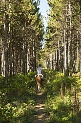 Joe and Major on River Run Trail off of Dittburner Rd