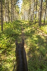 Bailey on River Run Trail at Horse Country Campground