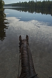 The View of Voyageur Bay from Bailey Boy at Horse Country Campgr