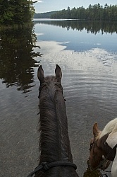 Voyageur Bay Horse Country Campground