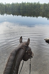 The View of Voyageur Bay from Bailey Boy at Horse Country Campgr