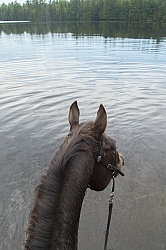 The View of Voyageur Bay from Bailey Boy at Horse Country Campgr