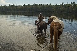 Shawn on Bailey Boy Leading Major into the Water at Voyaguer Bay