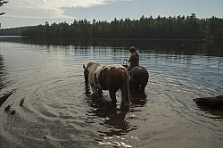 Shawn on Bailey Boy Leading Major into the Water at Voyaguer Bay