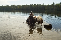 Shawn on Bailey Boy Leading Major into the Water at Voyaguer Bay