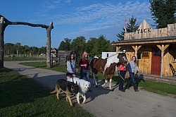 Campers out Walking at at Horse Country Campgrounds