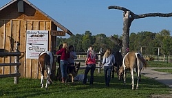 Signing in at Horse Country Campground