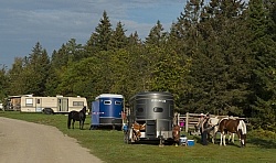 Trailers at Horse Country Campground