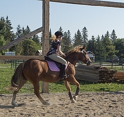 Campers at Horse Country Campgrounds Playng in the Sand Ring
