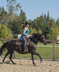 Campers at Horse Country Campgrounds Playng in the Sand Ring