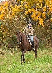 Morgan in the Fall Morgan in the Fall