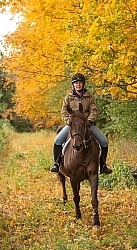 Morgan in the Fall Morgan in the Fall