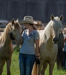 Mare and Foal with Owner