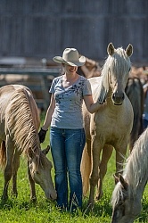 Mare and Foal with Owner