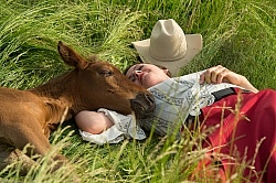 Rocky Mountain Foal Bonnie View Farm