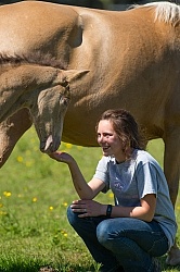 Rocky Mountain Foal Bonnie View Farm