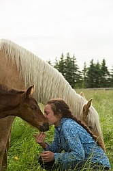 Rocky Mountain Foal, Bonnie View Farm